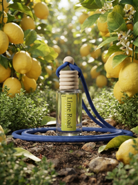 Lime Road Hanging Car Perfume